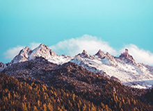 安全平台-九游体育在线：让热爱体育的你在每一刻与赛事同频